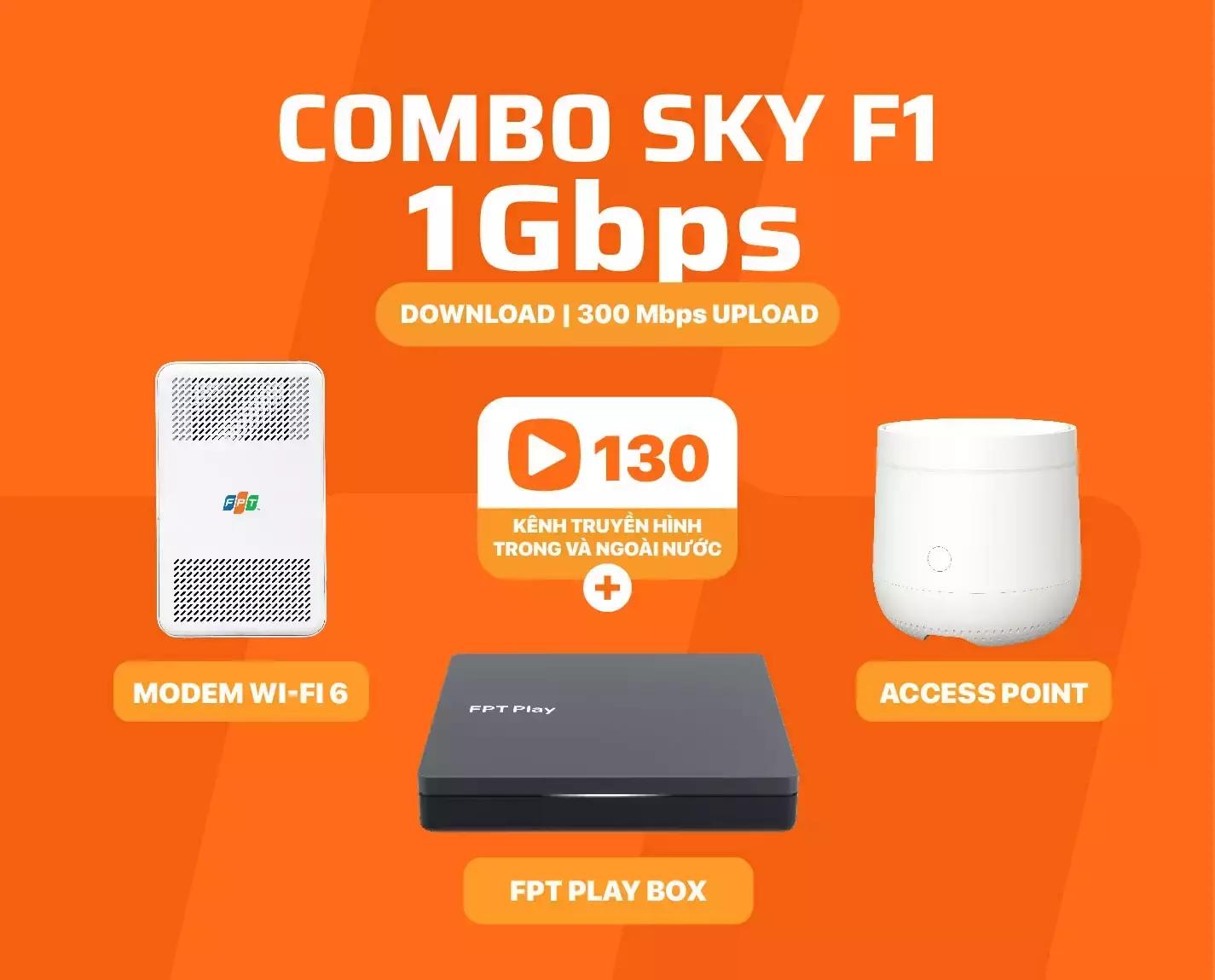 Combo SKY F1